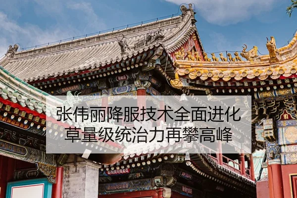 张伟丽降服技术全面进化 草量级统治力再攀高峰