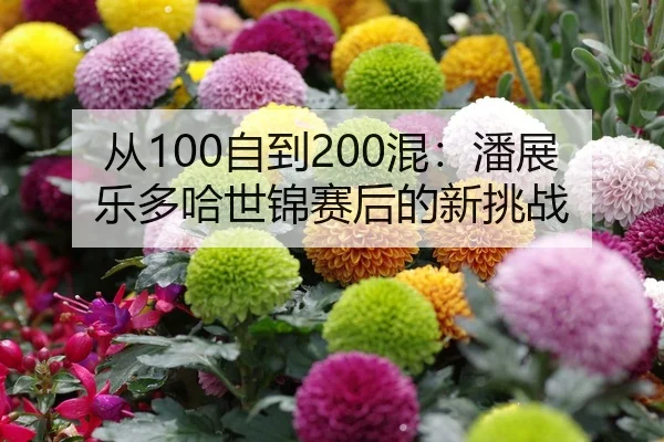 从100自到200混：潘展乐多哈世锦赛后的新挑战