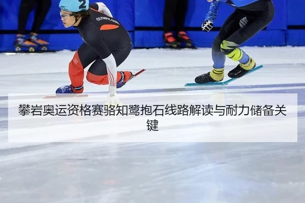 pan-yan-ao-yun-zi-ge-sai-luo-zhi-lu-bao-shi-xian-lu-jie-du-yu-nai-li-chu-bei-guan-jian-3-549.jpg