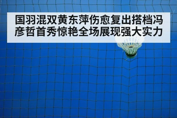 badminton net play