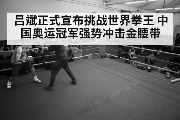 boxer training gym