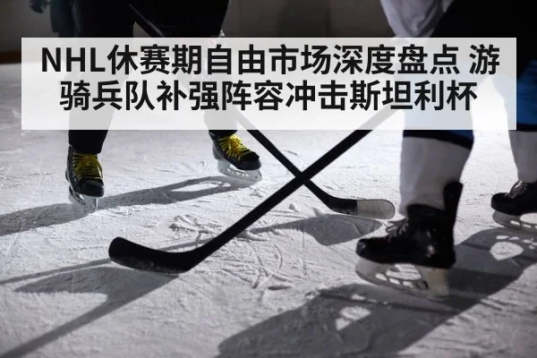 NHL休赛期自由市场深度盘点 游骑兵队补强阵容冲击斯坦利杯
