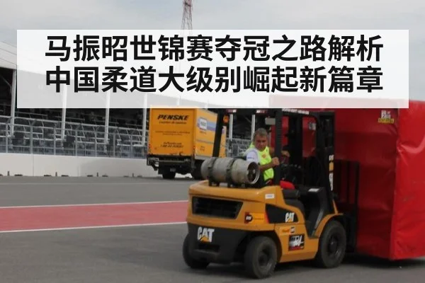 马振昭世锦赛夺冠之路解析中国柔道大级别崛起新篇章